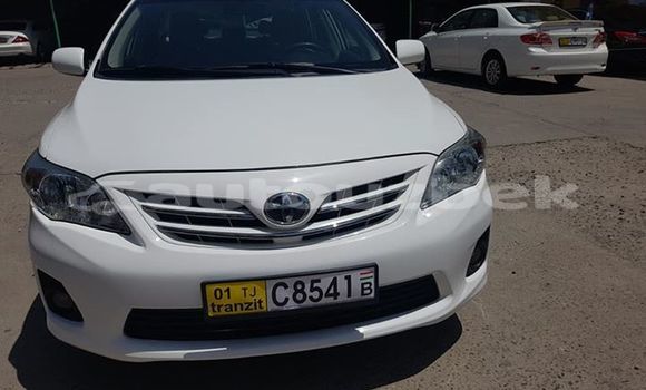 Buy Used Toyota Corolla White Car in Tashkent in Toskent