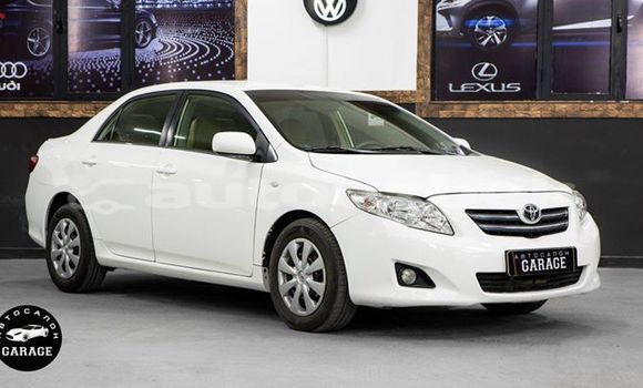 Buy Used Toyota Corolla White Car in Tashkent in Toskent