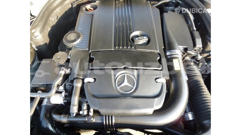 Big with watermark 63ce0904 2a57 4b00 80f5 5bd5b3f1b3ff