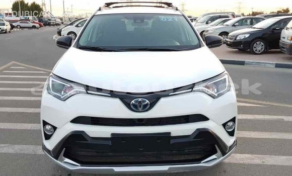 Buy Import Toyota RAV4 White Car in Import - Dubai in Andijon Buy Import Toyota RAV4 White Car in Import - Dubai in Andijon