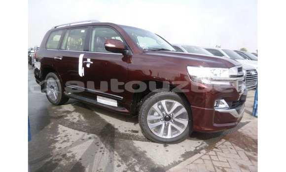 Buy Import Toyota Land Cruiser Brown Car in Import - Dubai in Andijon Buy Import Toyota Land Cruiser Brown Car in Import - Dubai in Andijon