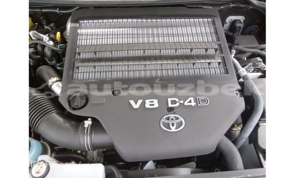 Buy Import Toyota Land Cruiser Brown Car in Import - Dubai in Andijon Buy Import Toyota Land Cruiser Brown Car in Import - Dubai in Andijon