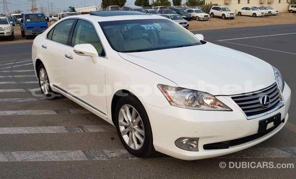 Buy Import Lexus ES White Car in Import - Dubai in Andijon Buy Import Lexus ES White Car in Import - Dubai in Andijon