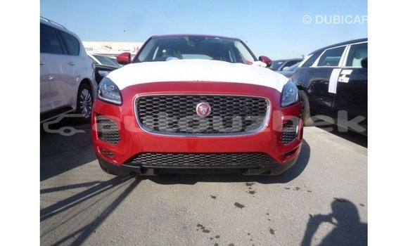 Buy Import Jaguar E-Pace Red Car in Import - Dubai in Andijon Buy Import Jaguar E-Pace Red Car in Import - Dubai in Andijon