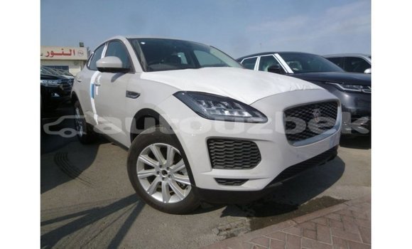 Buy Import Jaguar E-Pace White Car in Import - Dubai in Andijon