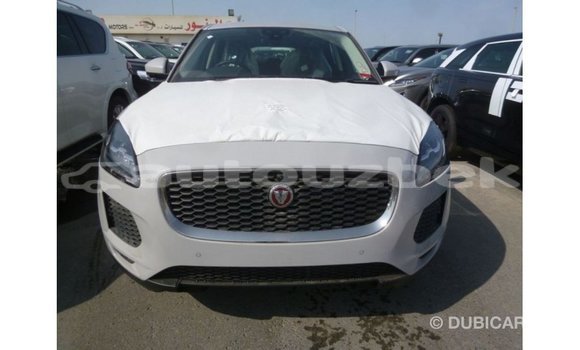 Buy Import Jaguar E-Pace White Car in Import - Dubai in Andijon Buy Import Jaguar E-Pace White Car in Import - Dubai in Andijon