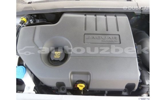 Buy Import Jaguar E-Pace White Car in Import - Dubai in Andijon Buy Import Jaguar E-Pace White Car in Import - Dubai in Andijon