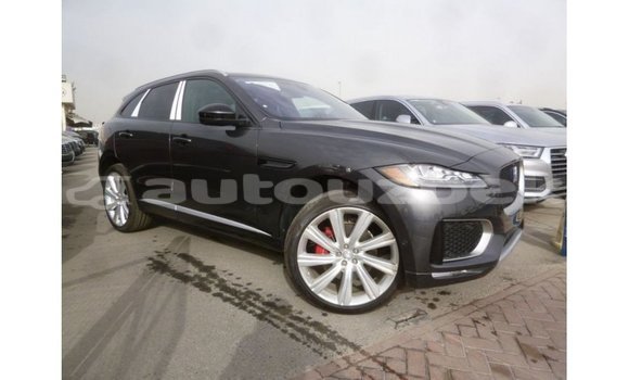 Buy Import Jaguar F-Type Black Car in Import - Dubai in Andijon