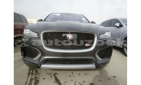 Buy Import Jaguar F-Type Black Car in Import - Dubai in Andijon Buy Import Jaguar F-Type Black Car in Import - Dubai in Andijon