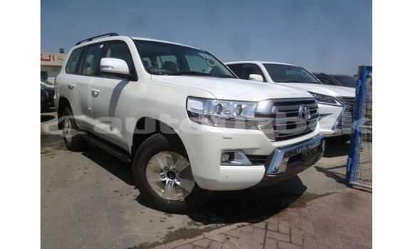 Buy Import Toyota Land Cruiser White Car in Import - Dubai in Andijon Buy Import Toyota Land Cruiser White Car in Import - Dubai in Andijon