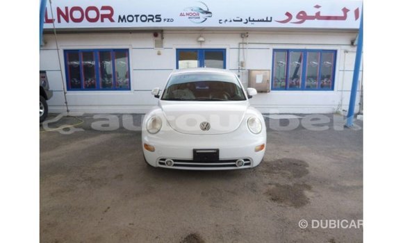 Buy Import Volkswagen Beetle White Car in Import - Dubai in Andijon Buy Import Volkswagen Beetle White Car in Import - Dubai in Andijon