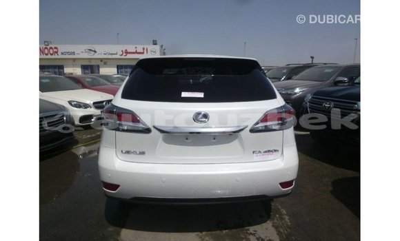 Buy Import Lexus RX White Car in Import - Dubai in Andijon Buy Import Lexus RX White Car in Import - Dubai in Andijon