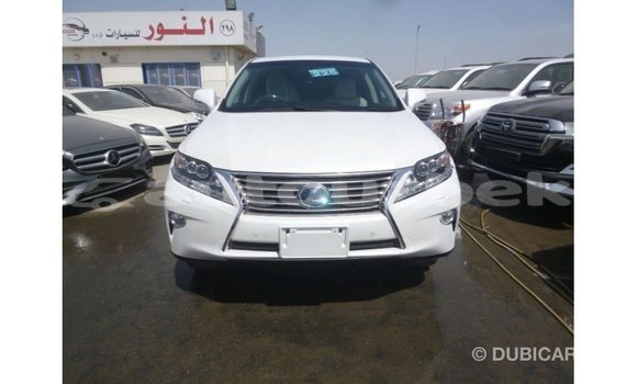 Buy Import Lexus RX White Car in Import - Dubai in Andijon Buy Import Lexus RX White Car in Import - Dubai in Andijon