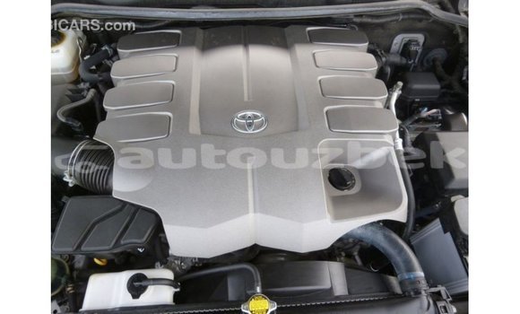 Buy Import Toyota Land Cruiser Other Car in Import - Dubai in Andijon Buy Import Toyota Land Cruiser Other Car in Import - Dubai in Andijon
