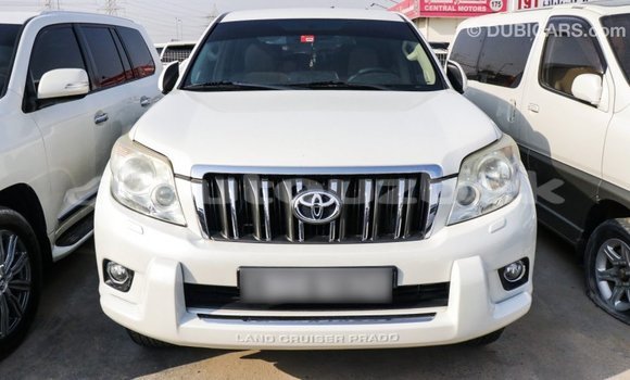 Buy Import Toyota Prado White Car in Import - Dubai in Andijon Buy Import Toyota Prado White Car in Import - Dubai in Andijon