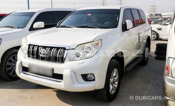 Buy Import Toyota Prado White Car in Import - Dubai in Andijon Buy Import Toyota Prado White Car in Import - Dubai in Andijon