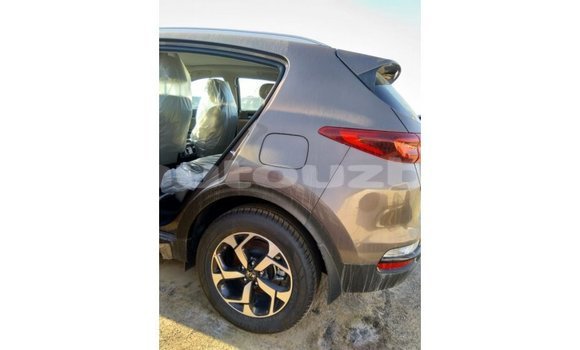 Buy Import Kia Sportage Brown Car in Import - Dubai in Andijon Buy Import Kia Sportage Brown Car in Import - Dubai in Andijon