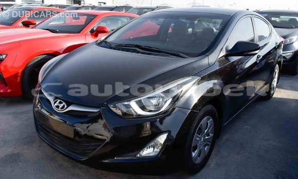 Buy Import Hyundai Elantra Black Car in Import - Dubai in Andijon Buy Import Hyundai Elantra Black Car in Import - Dubai in Andijon