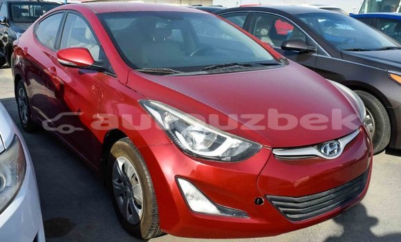 Buy Import Hyundai Elantra Red Car in Import - Dubai in Andijon Buy Import Hyundai Elantra Red Car in Import - Dubai in Andijon