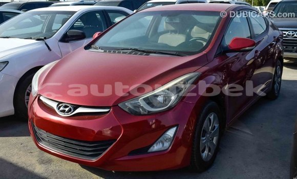 Buy Import Hyundai Elantra Red Car in Import - Dubai in Andijon Buy Import Hyundai Elantra Red Car in Import - Dubai in Andijon
