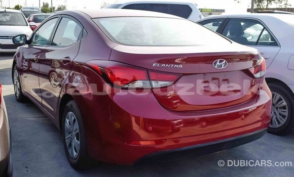 Buy Import Hyundai Elantra Red Car in Import - Dubai in Andijon Buy Import Hyundai Elantra Red Car in Import - Dubai in Andijon