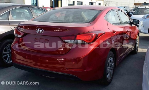 Buy Import Hyundai Elantra Red Car in Import - Dubai in Andijon Buy Import Hyundai Elantra Red Car in Import - Dubai in Andijon