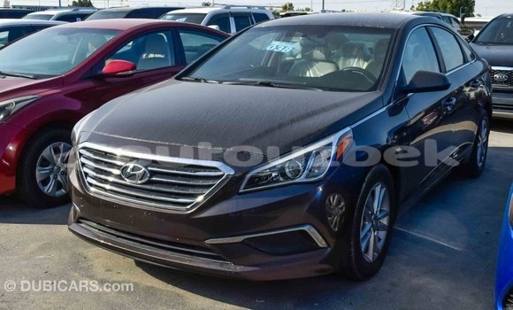 Buy Import Hyundai Sonata Brown Car in Import - Dubai in Andijon Buy Import Hyundai Sonata Brown Car in Import - Dubai in Andijon