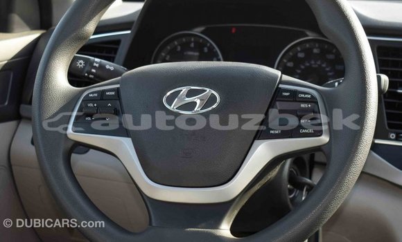 Buy Import Hyundai Elantra Blue Car in Import - Dubai in Andijon Buy Import Hyundai Elantra Blue Car in Import - Dubai in Andijon