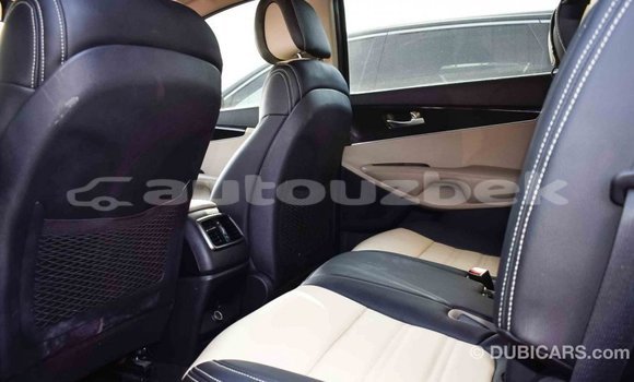 Buy Import Kia Sorento Brown Car in Import - Dubai in Andijon Buy Import Kia Sorento Brown Car in Import - Dubai in Andijon