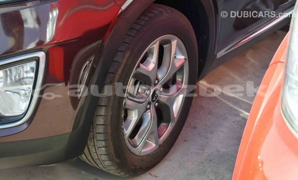 Buy Import Kia Sorento Brown Car in Import - Dubai in Andijon Buy Import Kia Sorento Brown Car in Import - Dubai in Andijon