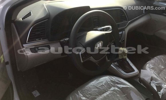 Buy Import Hyundai Elantra White Car in Import - Dubai in Andijon Buy Import Hyundai Elantra White Car in Import - Dubai in Andijon