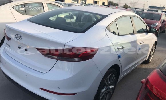 Buy Import Hyundai Elantra White Car in Import - Dubai in Andijon Buy Import Hyundai Elantra White Car in Import - Dubai in Andijon