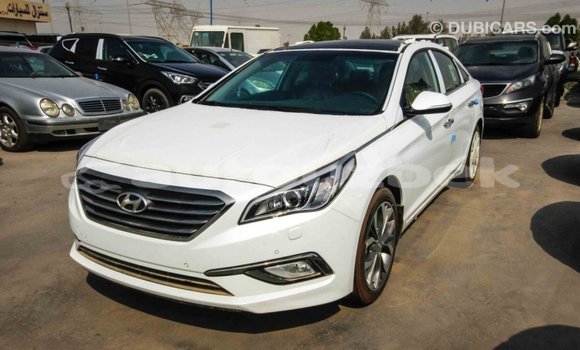 Buy Import Hyundai Sonata White Car in Import - Dubai in Andijon Buy Import Hyundai Sonata White Car in Import - Dubai in Andijon