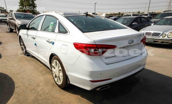 Buy Import Hyundai Sonata White Car in Import - Dubai in Andijon Buy Import Hyundai Sonata White Car in Import - Dubai in Andijon