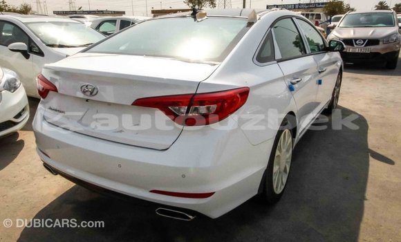 Buy Import Hyundai Sonata White Car in Import - Dubai in Andijon Buy Import Hyundai Sonata White Car in Import - Dubai in Andijon