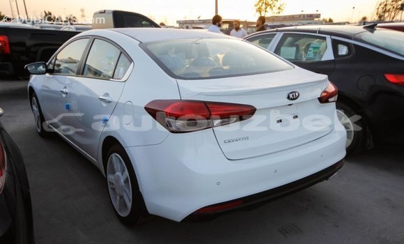 Buy Import Kia Cerato White Car in Import - Dubai in Andijon Buy Import Kia Cerato White Car in Import - Dubai in Andijon
