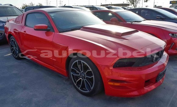 Buy Import Ford Mustang Red Car in Import - Dubai in Andijon Buy Import Ford Mustang Red Car in Import - Dubai in Andijon