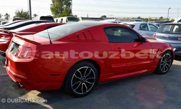 Buy Import Ford Mustang Red Car in Import - Dubai in Andijon Buy Import Ford Mustang Red Car in Import - Dubai in Andijon