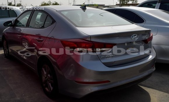 Buy Import Hyundai Elantra Other Car in Import - Dubai in Andijon Buy Import Hyundai Elantra Other Car in Import - Dubai in Andijon