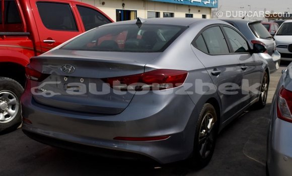 Buy Import Hyundai Elantra Other Car in Import - Dubai in Andijon Buy Import Hyundai Elantra Other Car in Import - Dubai in Andijon