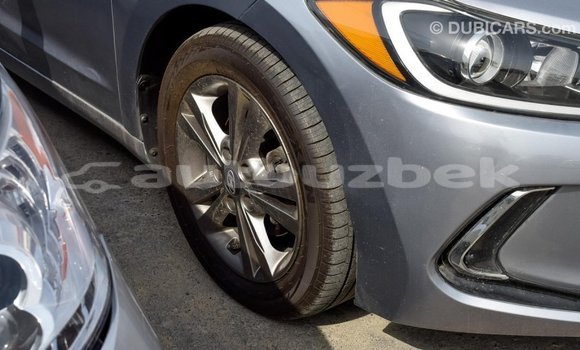 Buy Import Hyundai Elantra Other Car in Import - Dubai in Andijon Buy Import Hyundai Elantra Other Car in Import - Dubai in Andijon