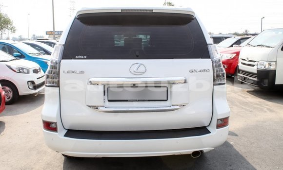 Buy Import Lexus GX White Car in Import - Dubai in Andijon Buy Import Lexus GX White Car in Import - Dubai in Andijon