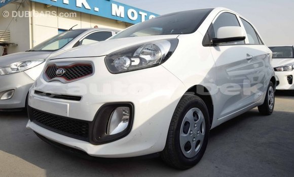 Buy Import Kia Picanto White Car in Import - Dubai in Andijon Buy Import Kia Picanto White Car in Import - Dubai in Andijon