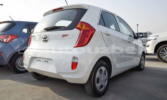 Buy Import Kia Picanto White Car in Import - Dubai in Andijon Buy Import Kia Picanto White Car in Import - Dubai in Andijon