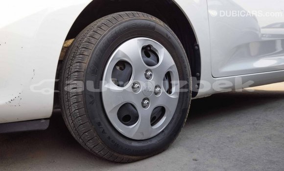 Buy Import Kia Picanto White Car in Import - Dubai in Andijon Buy Import Kia Picanto White Car in Import - Dubai in Andijon