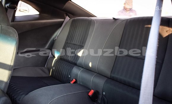 Buy Import Chevrolet Camaro Other Car in Import - Dubai in Andijon Buy Import Chevrolet Camaro Other Car in Import - Dubai in Andijon