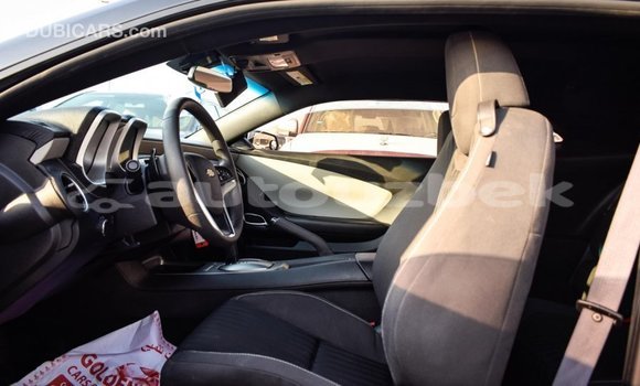 Buy Import Chevrolet Camaro Other Car in Import - Dubai in Andijon Buy Import Chevrolet Camaro Other Car in Import - Dubai in Andijon