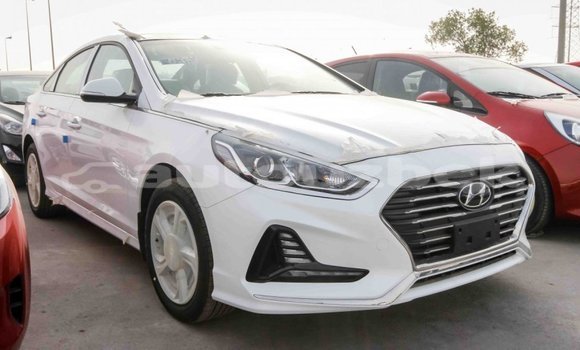Buy Import Hyundai Sonata White Car in Import - Dubai in Andijon Buy Import Hyundai Sonata White Car in Import - Dubai in Andijon