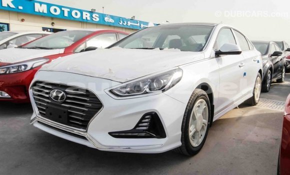 Buy Import Hyundai Sonata White Car in Import - Dubai in Andijon Buy Import Hyundai Sonata White Car in Import - Dubai in Andijon