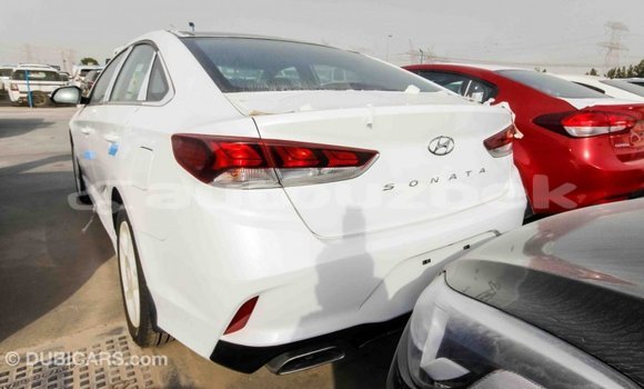 Buy Import Hyundai Sonata White Car in Import - Dubai in Andijon Buy Import Hyundai Sonata White Car in Import - Dubai in Andijon